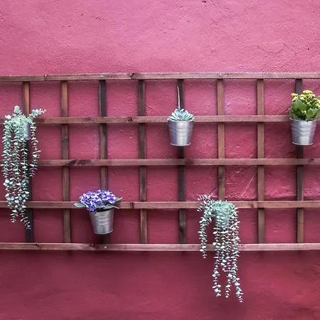 Sao Lazaro's Garden - With Terrace Apartment